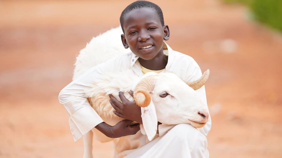 Afrika’da Vacip Kurban Bağışı Yapılır mı?